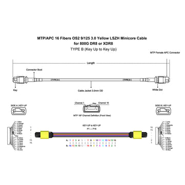 16 Fibers MPO/MTP APC Female 9/125 Singlemode OS2 Fiber Trunk Cable